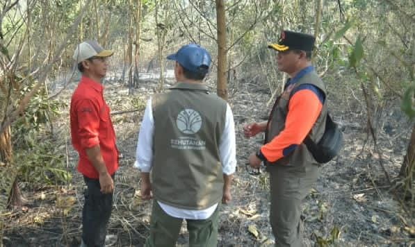 IMG-20260823-WA0016